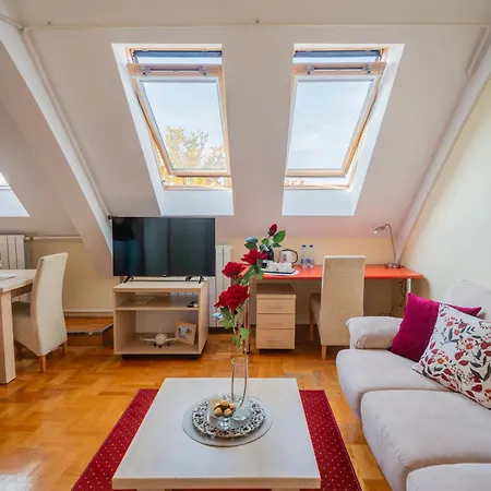 Vukov Park Apartament *