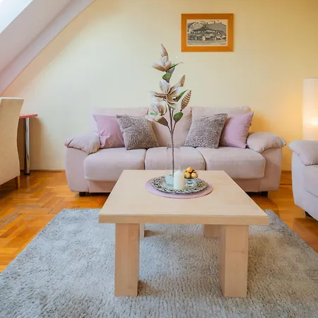 Vukov Park Apartament *