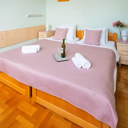 Apartment Vukov Park *